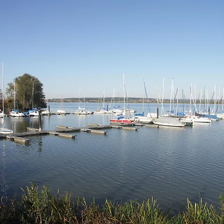 Zugvogel Muhr am See