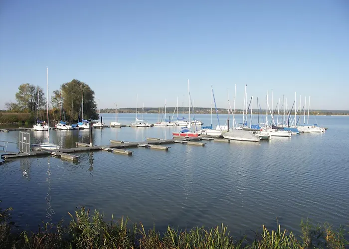 Zugvogel Muhr am See